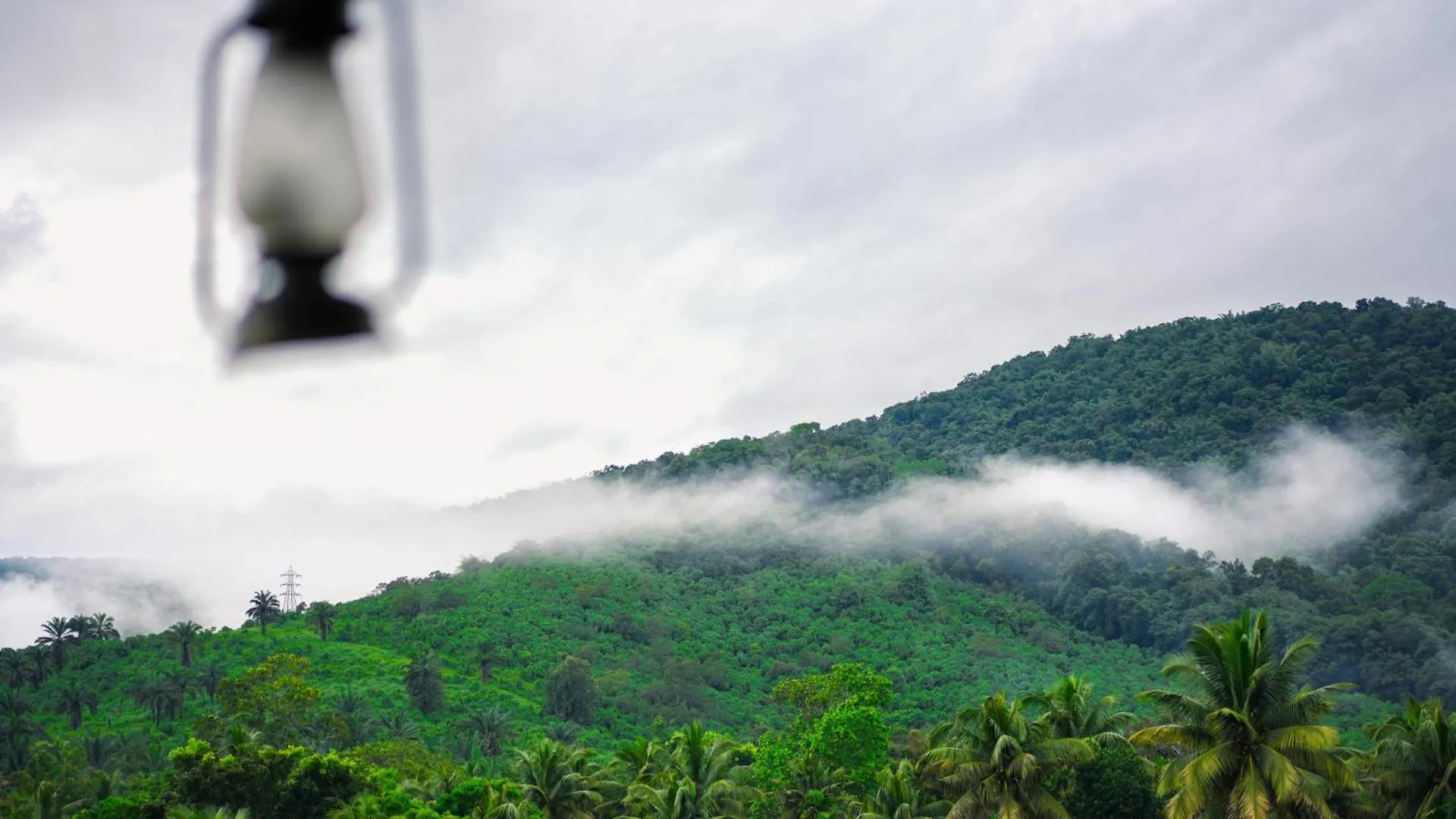 Athirappilly Rainland Resort 3*,  Indie